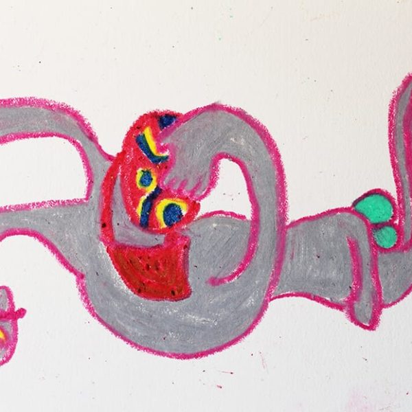 Autotransplante (14×22,5cm)